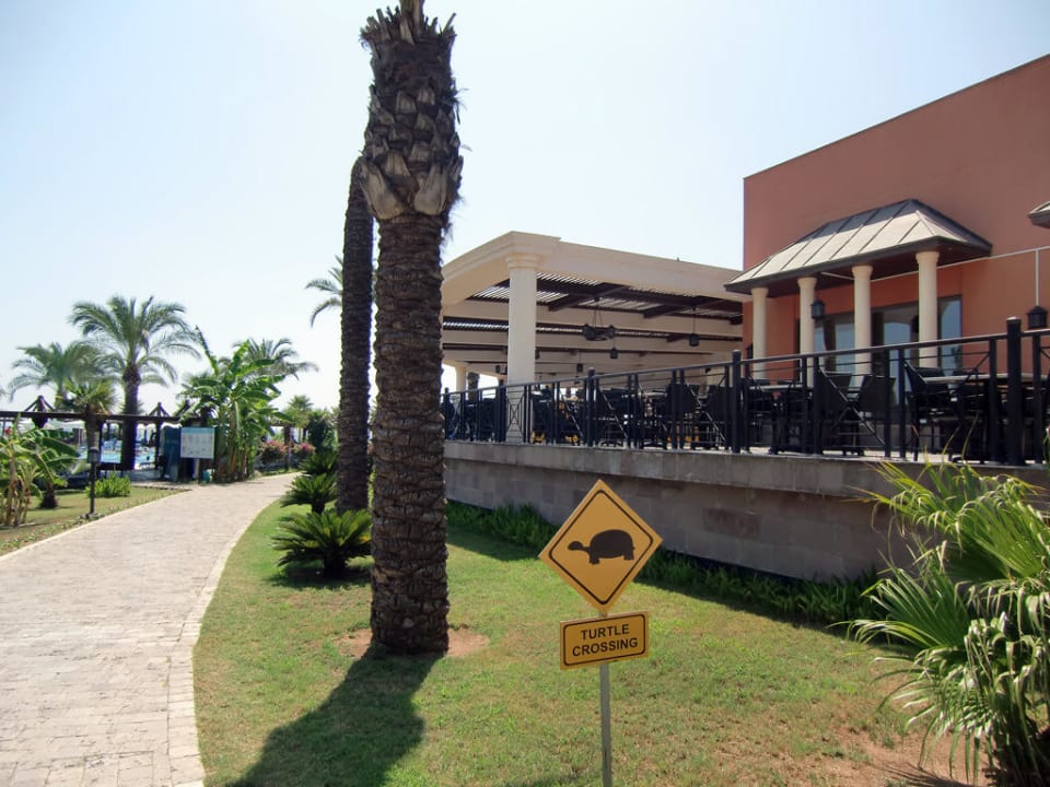 Blick auf das Hauptrestaurant TUI BLUE Palm Garden