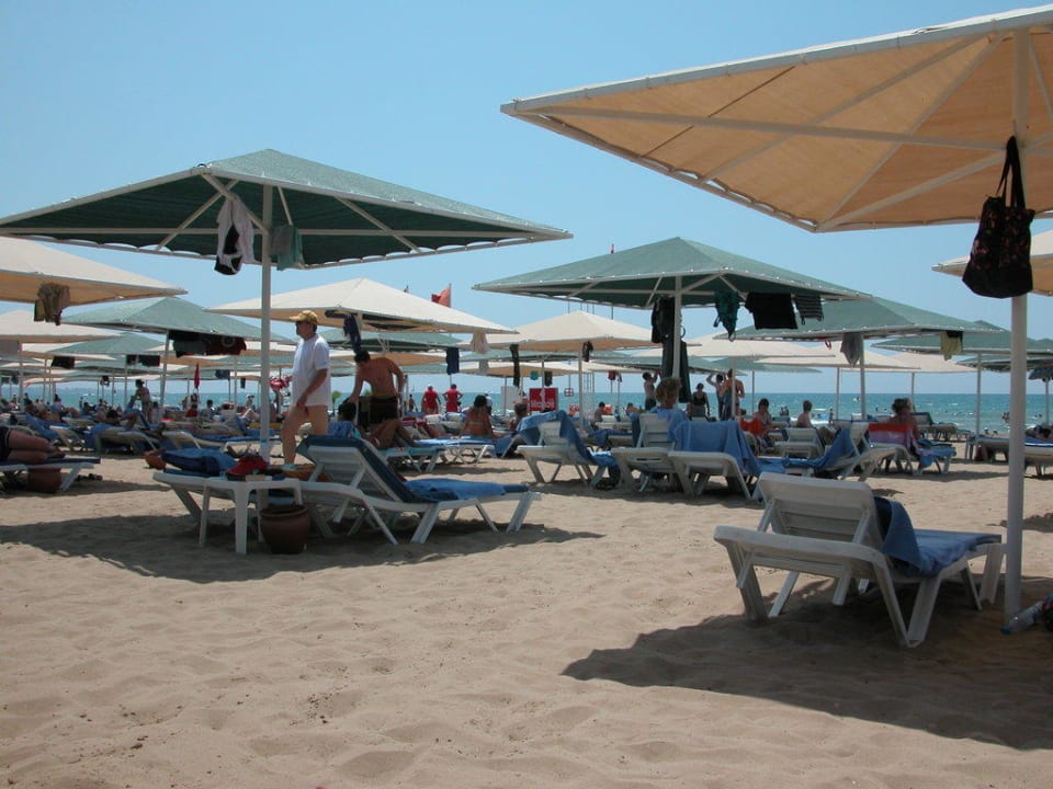 Liegen am Strand Miramare Queen Hotel
