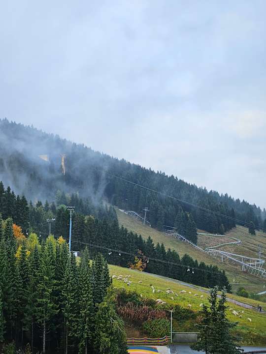 Ausblick AHORN Hotel Am Fichtelberg