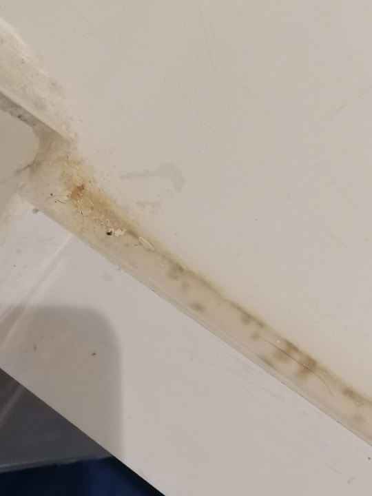 Zimmer Dunes D'or Ocean Club