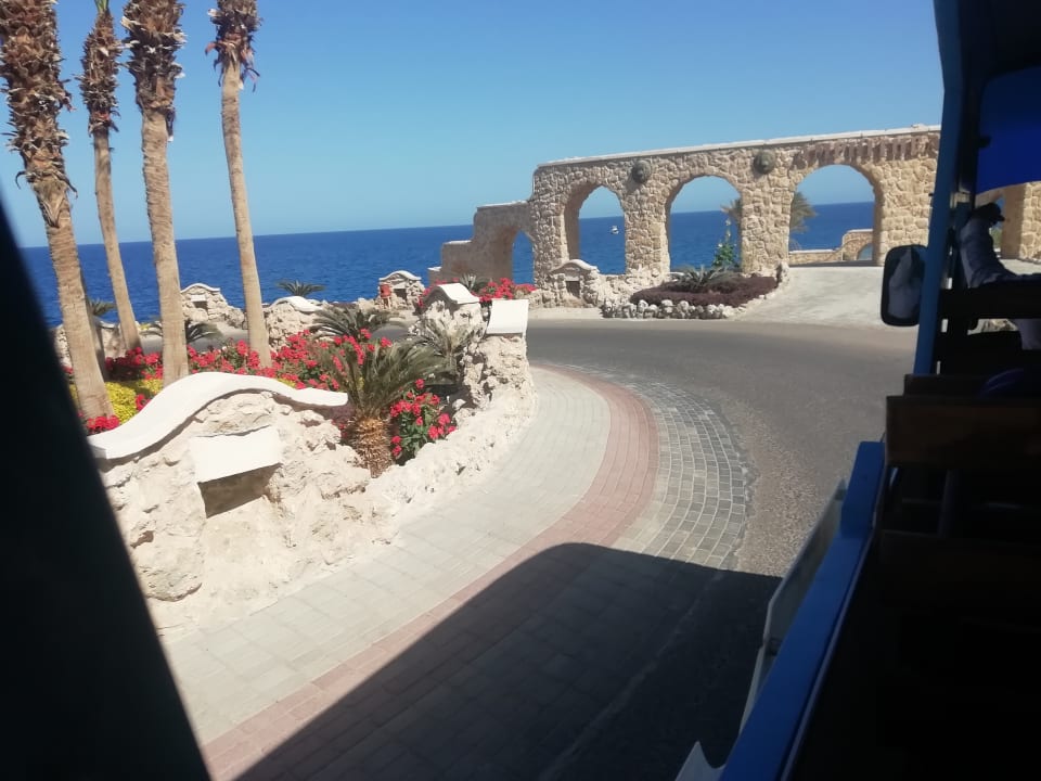 Ausblick Pickalbatros Citadel Resort