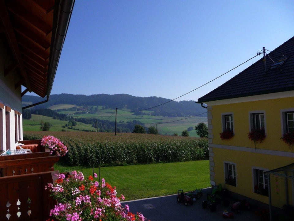 Blick in den Hof Erlebnisbauernhof Steinerhof