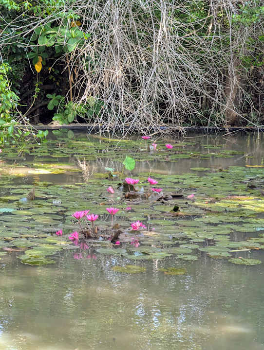 Gartenanlage Dusit Thani Krabi Beach Resort