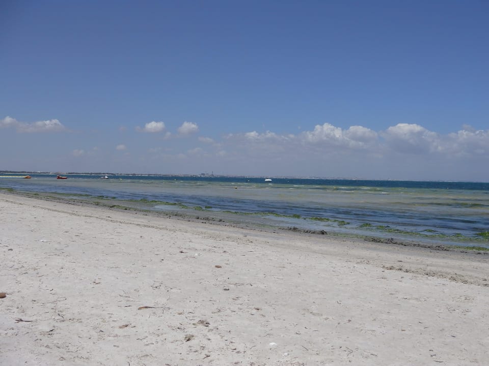 Morze Skanes Serail Aquapark