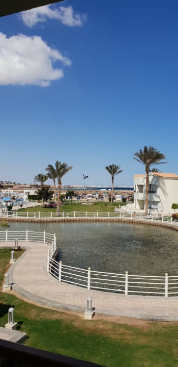 Ausblick Pickalbatros Dana Beach Resort - Hurghada