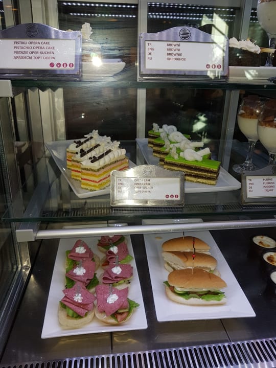 Gastro Acanthus Cennet Barut Collection