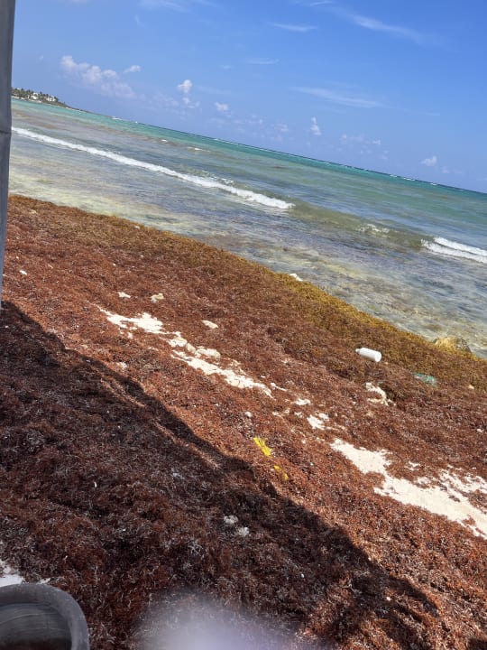 Strand Akumal Bay Beach & Wellness Resort