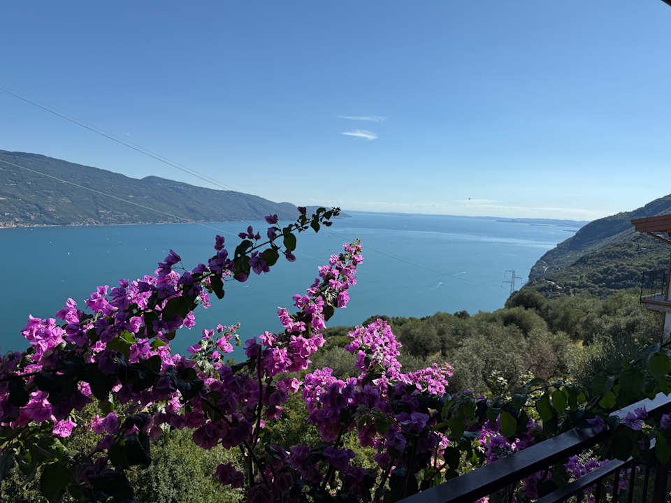 Ausblick Kuschel's vistalago