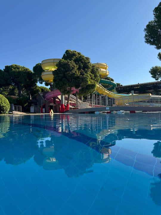 Pool Papillon Ayscha