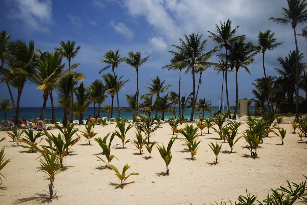 Aussicht aus dem Poolrestaurant Hotel Riu Palace Bavaro