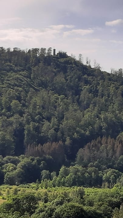 Ausblick Panoramic - Ihr Apartmenthotel im Harz