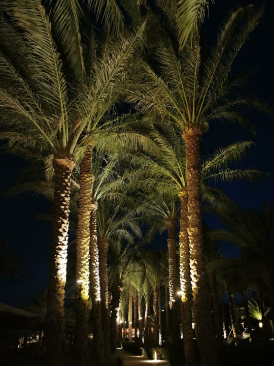 Außenansicht Fort Arabesque Resort, Spa & Villas