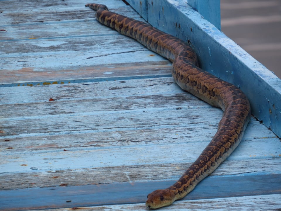 Auf der Brücke Sol Rio De Luna y Mares
