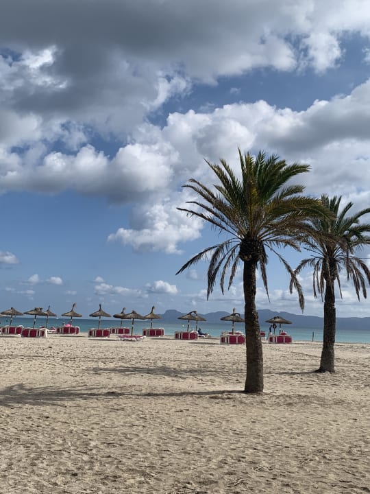Strand Grupotel Los Principes & Spa