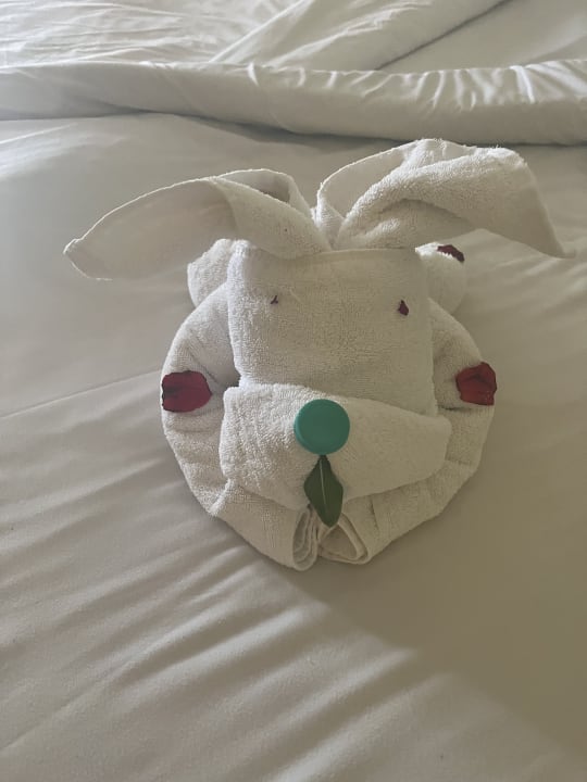 Zimmer Casa Mare Resort