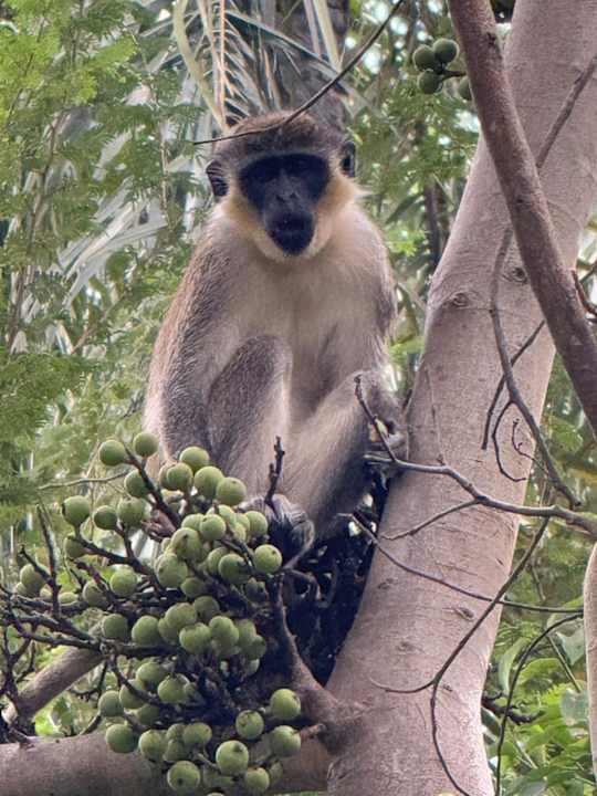 Gartenanlage AbCa's Creek Lodge