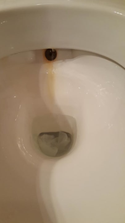 Zimmer Ghazala Gardens