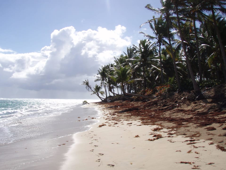 Strand Excellence Punta Cana - Adults only