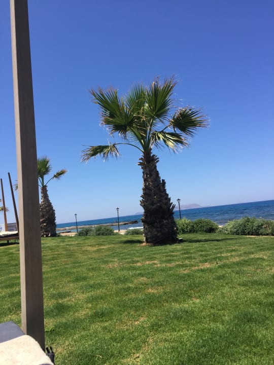 Ausblick TUI BLUE Insula Alba