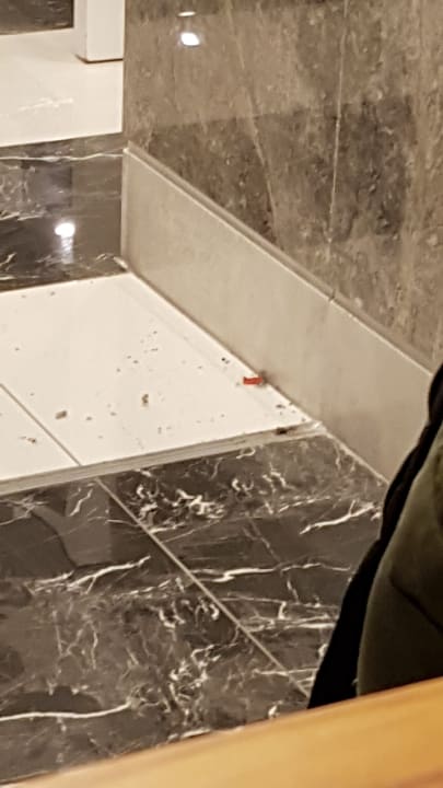 Lobby Eftalia Ocean Resort & Spa