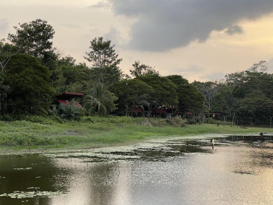 Gartenanlage Confort Arenal