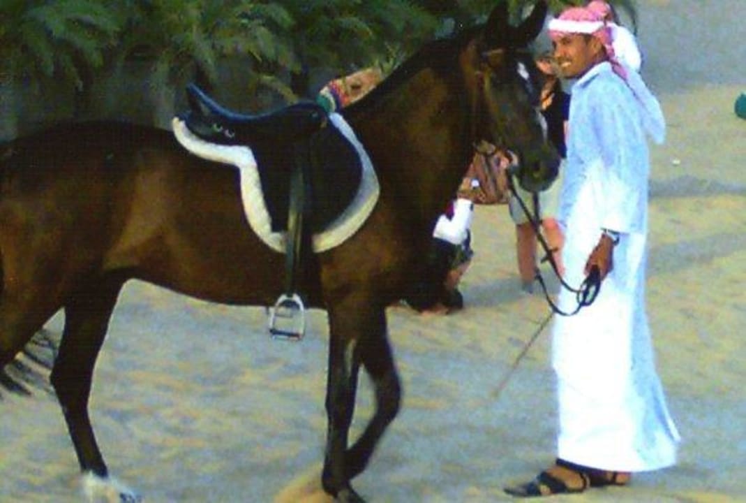 Show am Nachmittag Hotel Bab Al Shams Desert Resort & Spa