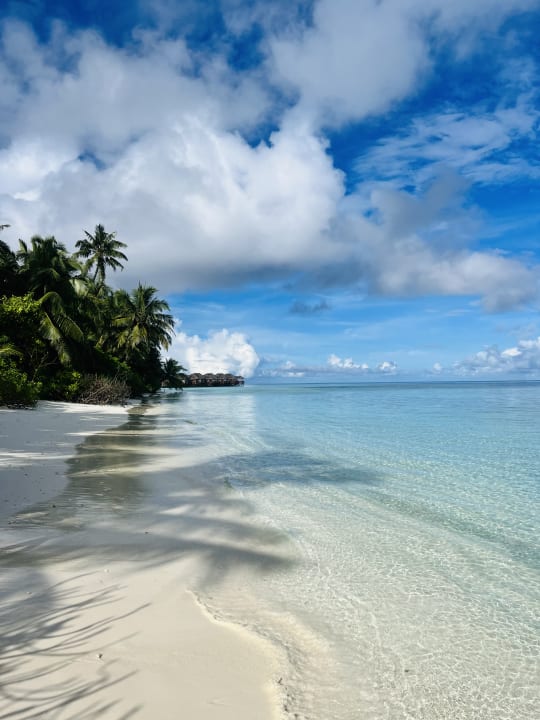 Strand Fihalhohi Maldives