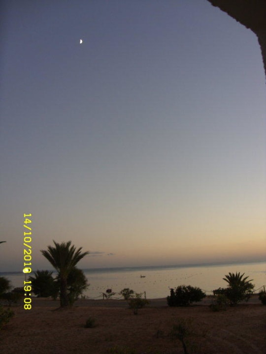 Einfach Traumhaft Hotel El Mouradi Djerba Menzel