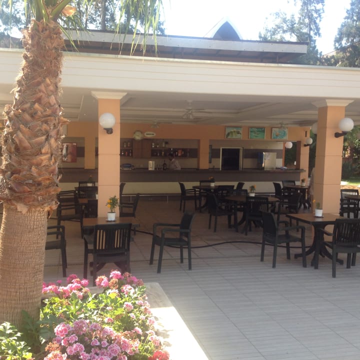 Restaurant Dizalya Palm Garden