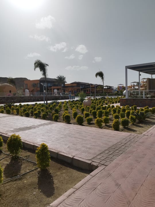 Gartenanlage Pickalbatros Villaggio Resort - Portofino