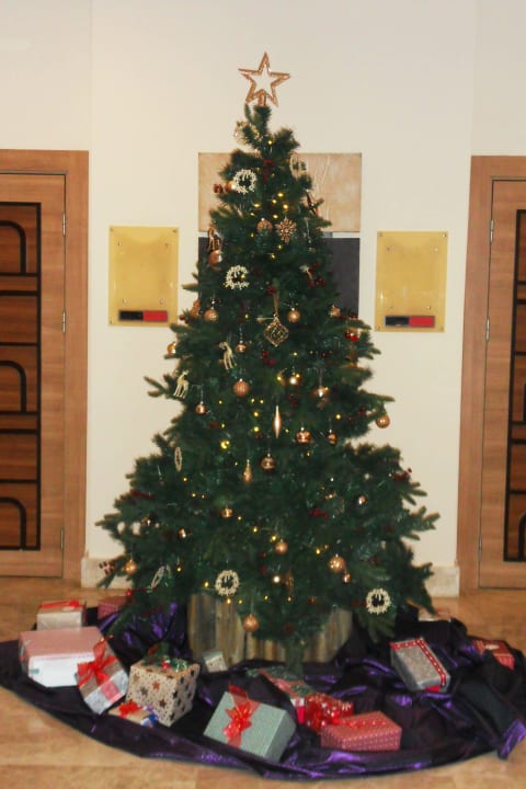 Weihnachtsbaum Solivia Hotel