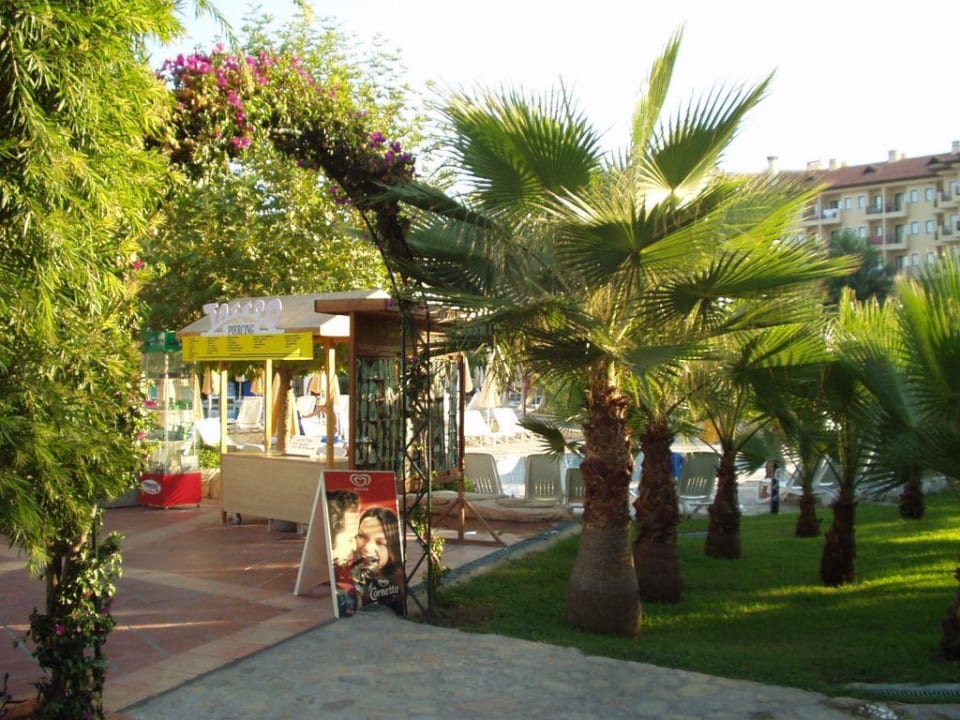 Barbereich mit Tattoostand Miramare Queen Hotel