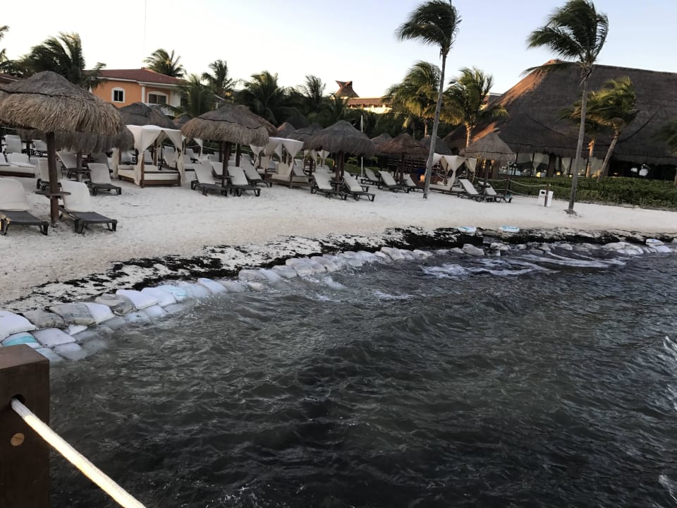 Strand Februar 2017 H10 Ocean Maya Royale - Adults only
