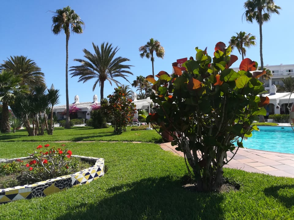 Gartenanlage Sahara Beach Club