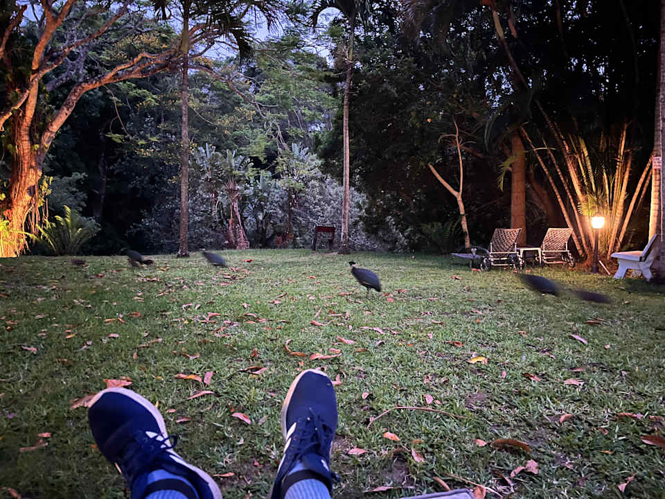 Gartenanlage St Lucia Leopard