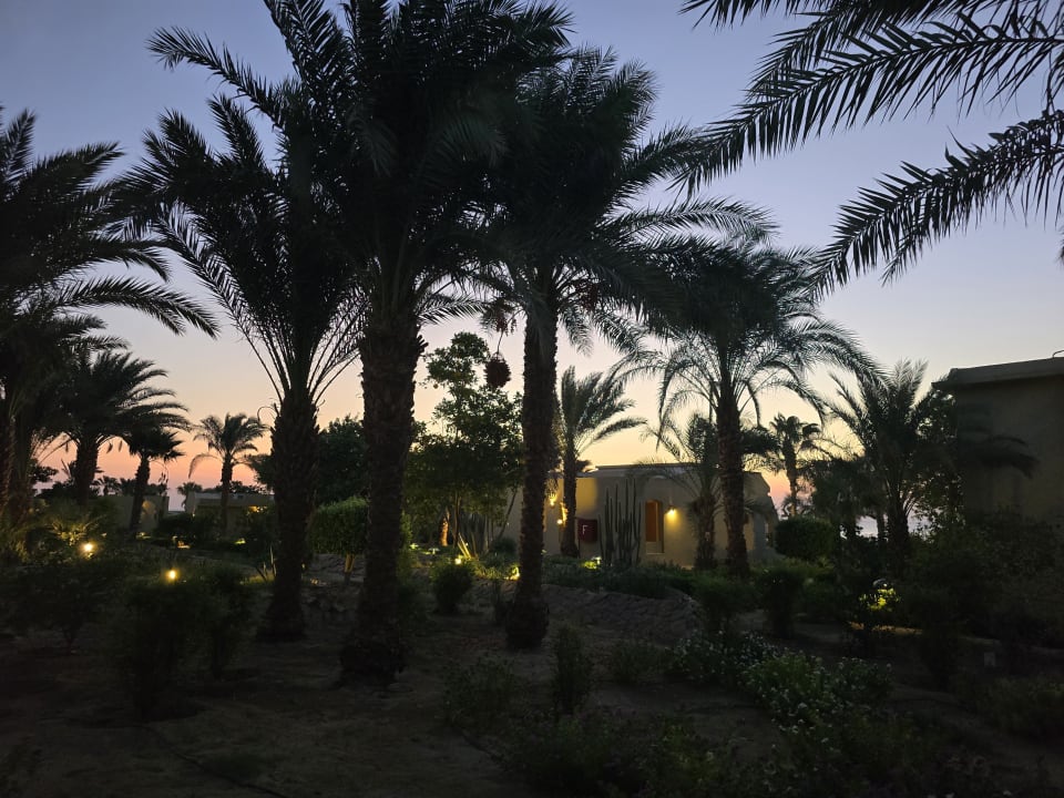 Gartenanlage Three Corners Fayrouz Plaza Beach Resort