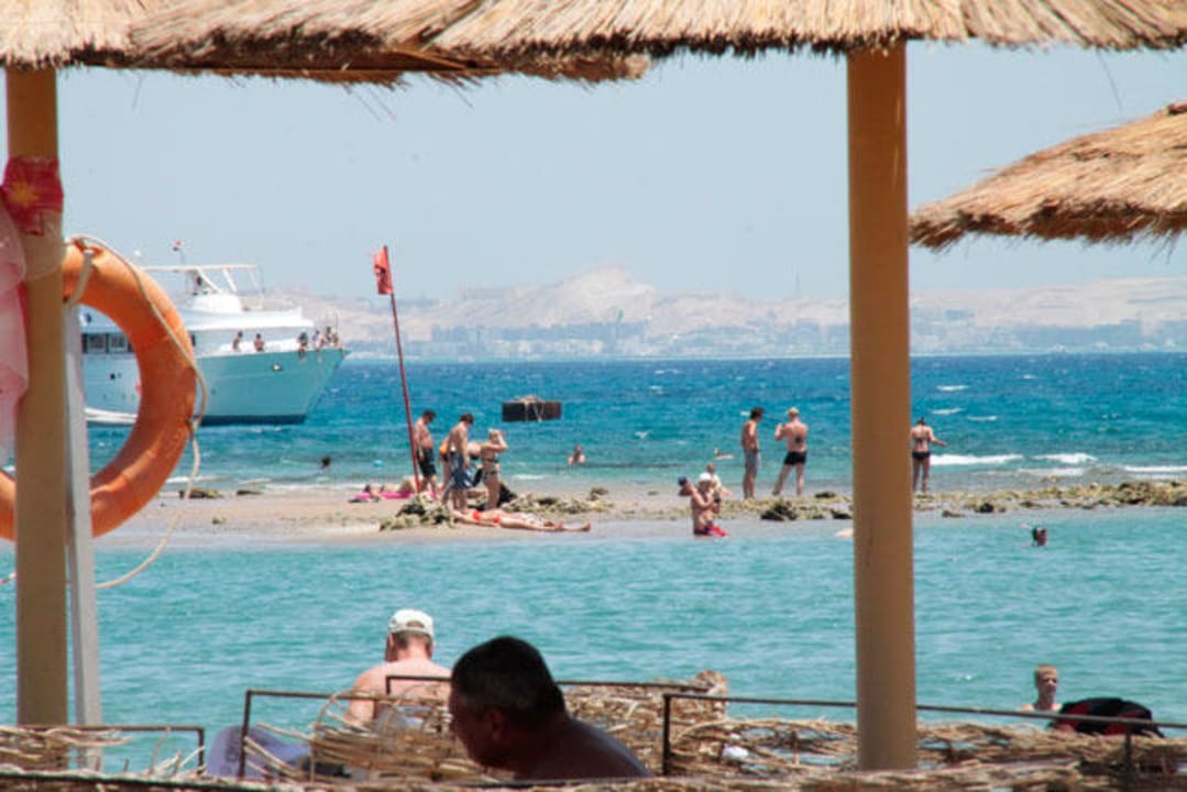 Plaża przy hotelu Dana Beach Pickalbatros Dana Beach Resort - Hurghada