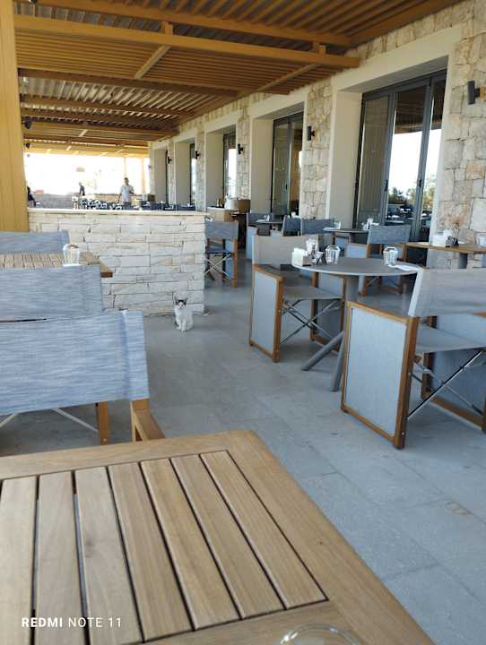 Gastro Anda Barut Collection