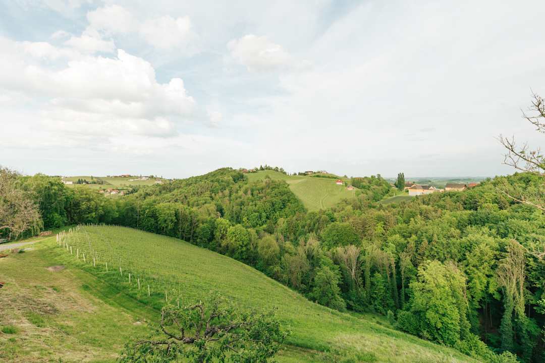 Ausblick Weingut Pension Hack-Gebell