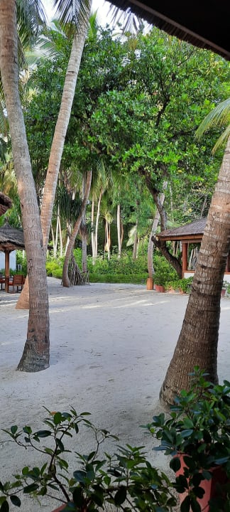 Gartenanlage NH Collection Maldives Reethi Resort