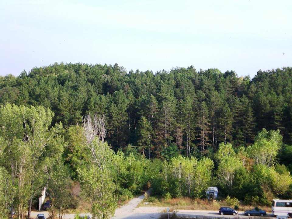 Landseite Sol Luna Bay