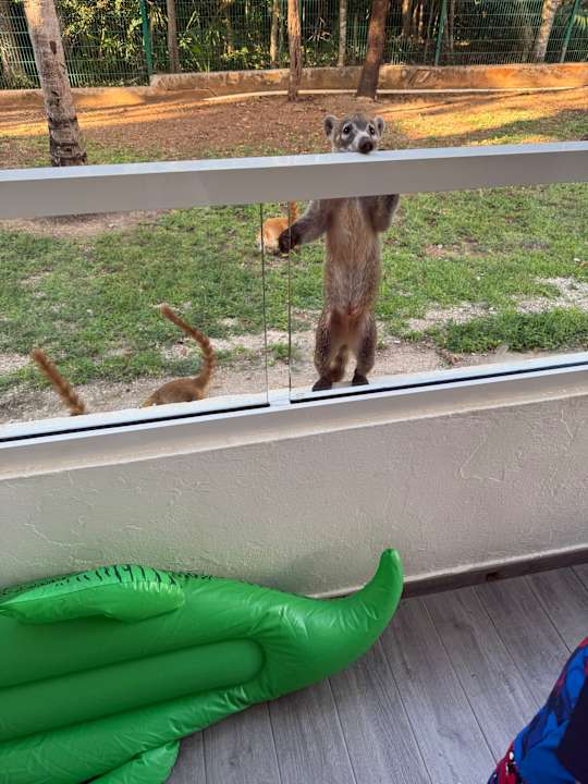 Gartenanlage Hotel Riu Tequila