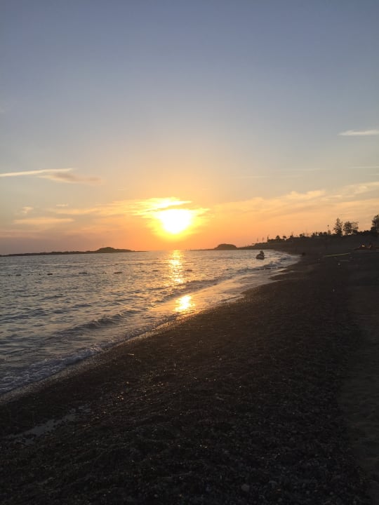 Strand Hotel Gardenia Beach