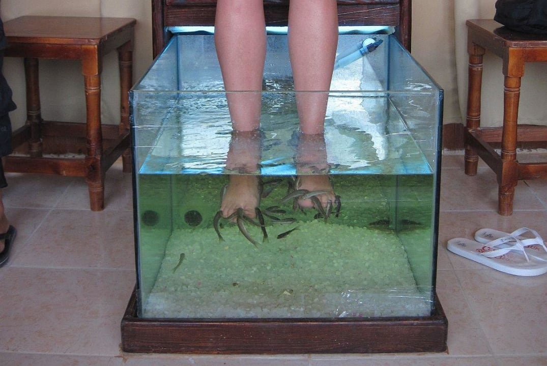 Rybičky gara ruffa - pedikúra Swisstouch Oriental Resort Marsa Alam