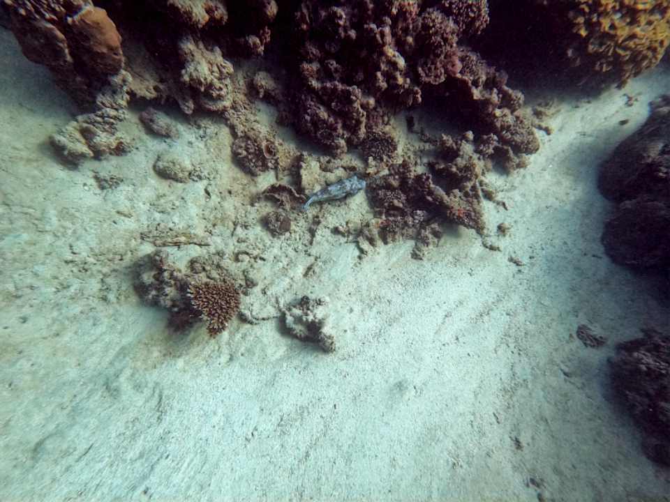 Strand Brayka Bay Resort