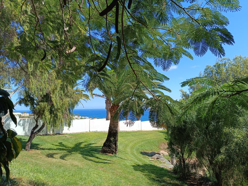 Ausblick allsun App.-Hotel Esquinzo Beach