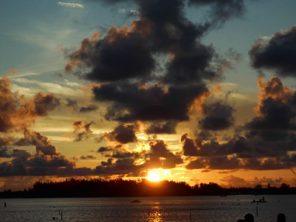 Ausblick whala!boca chica
