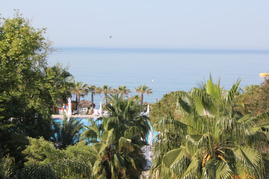 Zimmerblick Botanik Hotel & Resort