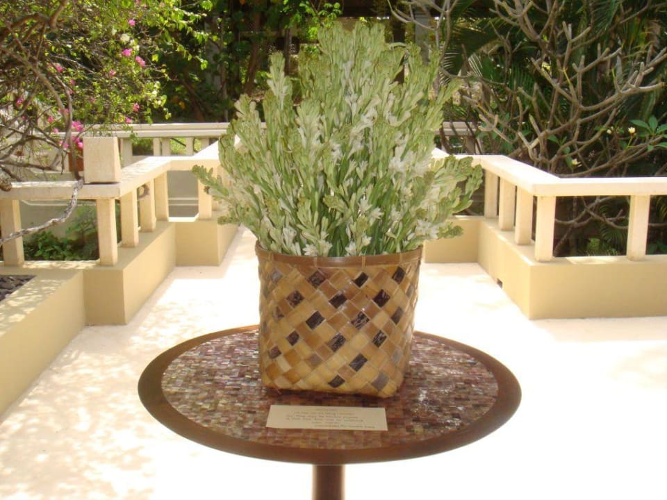 Villeneingang Hotel Amankila