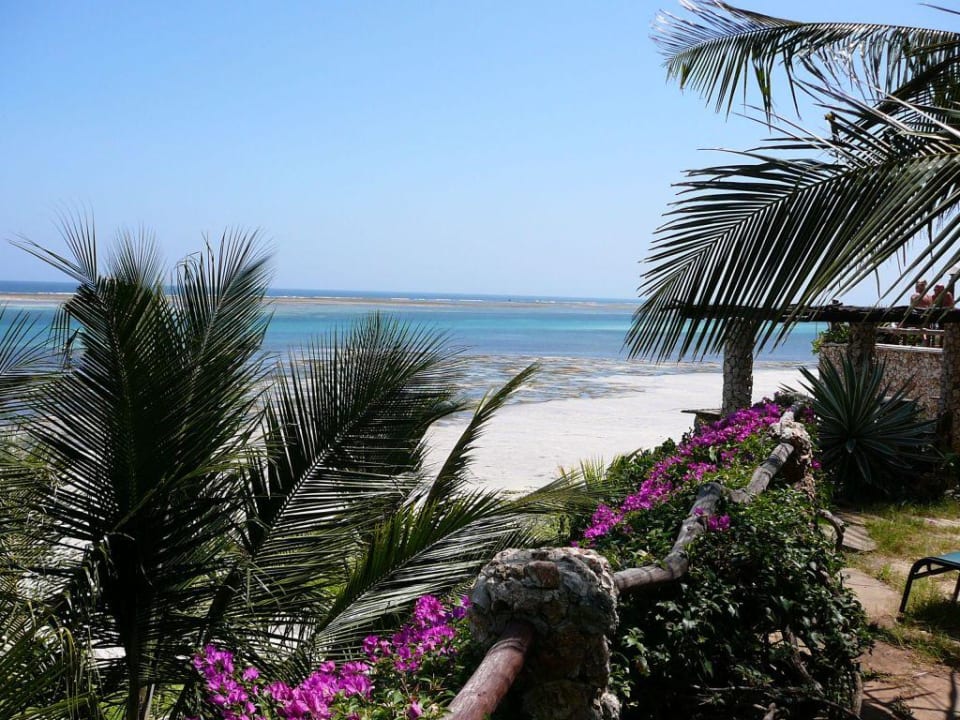 garden & beach Bahari Beach Hotel